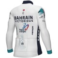 Heren Fietskleding Ale Bahrain Victorious 2025 shirt met lange mouwen Heren Fietskleding Ale Bahrain Victorious 2025 shirt met lange mouwen
