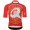 Heren Fietskleding Q36.5 Gregorius Clima Dolomites Extreme Jersey - Rood