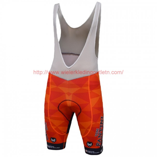 2017 Vini Fantini Race Korte Fietsbroeken Bib 20177012 2017 Vini Fantini Race Korte Fietsbroeken Bib 20177012