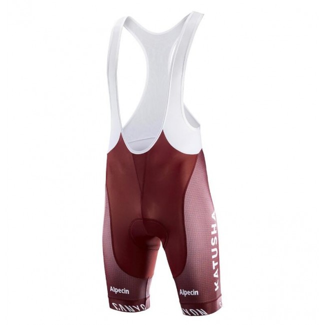 TEAM KATUSHA ALPECIN 2019 Korte fietsbroeken Bib 190224116 TEAM KATUSHA ALPECIN 2019 Korte fietsbroeken Bib 190224116