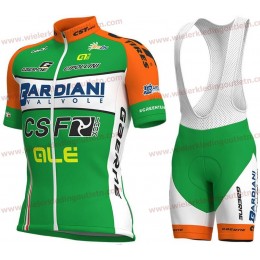 BARDIANI CSF 2018 Wielerkleding Set Wielershirt korte mouwen+Fiets Koersbroek D133 BARDIANI CSF 2018 Wielerkleding Set Wielershirt korte mouwen+Fiets Koersbroek D133